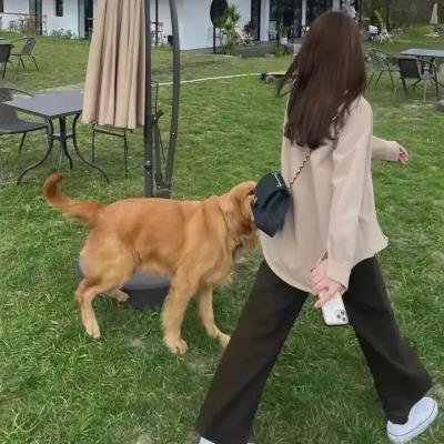 意外粤语